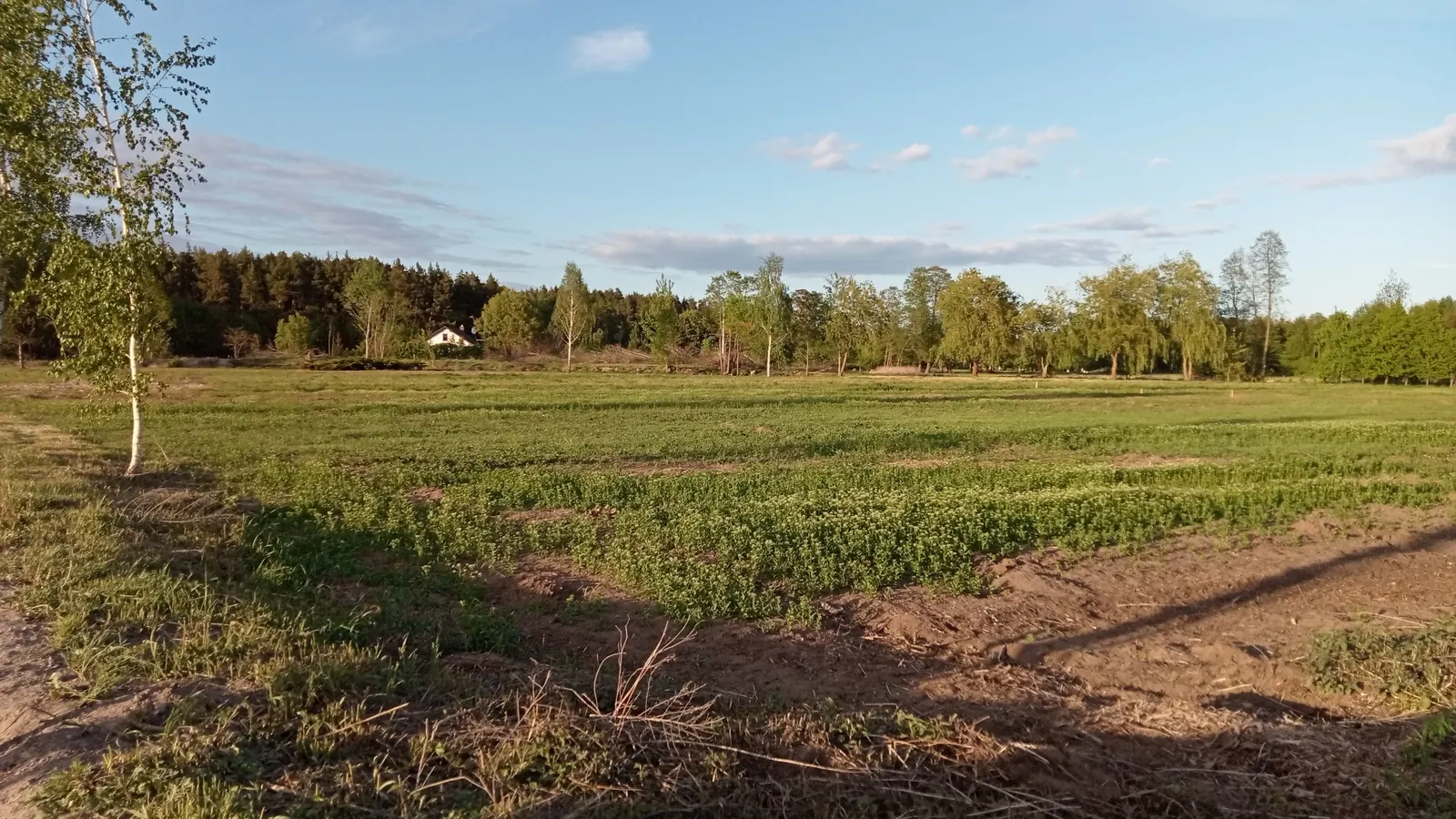 5 działki w spokojnej lokalizacji, blisko szkoły.