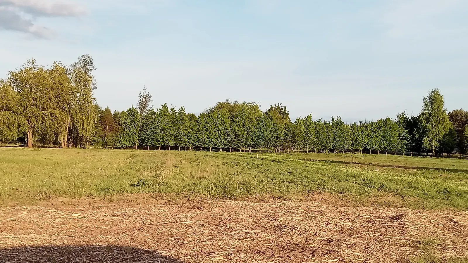5 działki w spokojnej lokalizacji, blisko szkoły.
