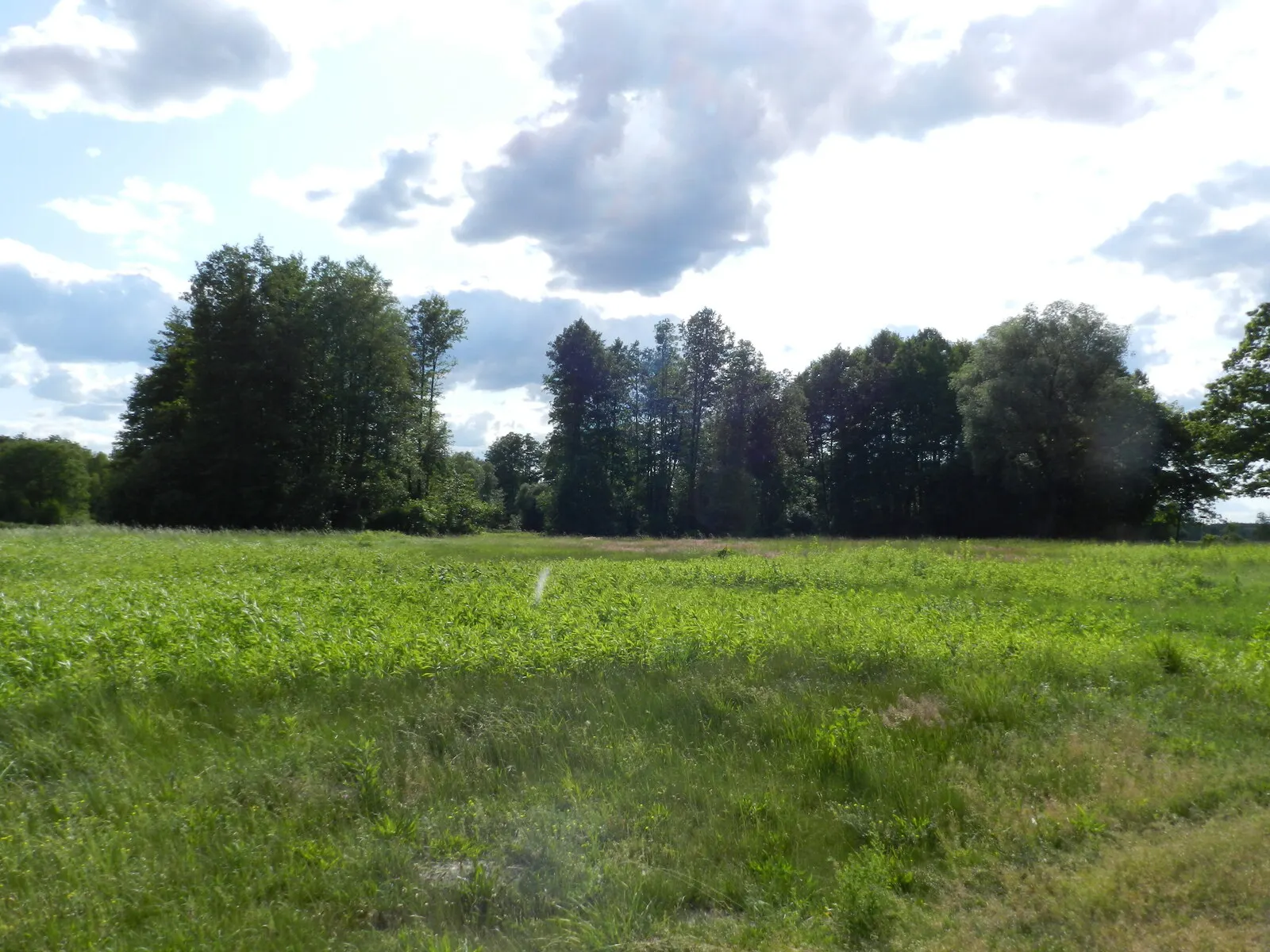 2 działki pod zabudowę, Czarne Błoto, Bierzgłowska