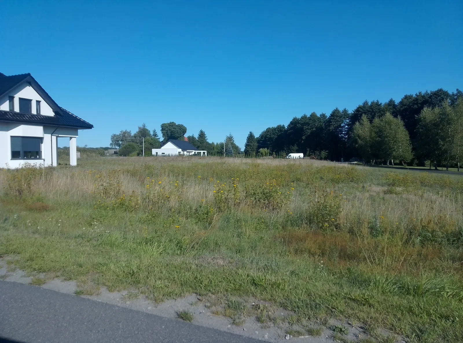 Dwie działki z WZ w Starym Toruniu, ul. Cedrowa.
