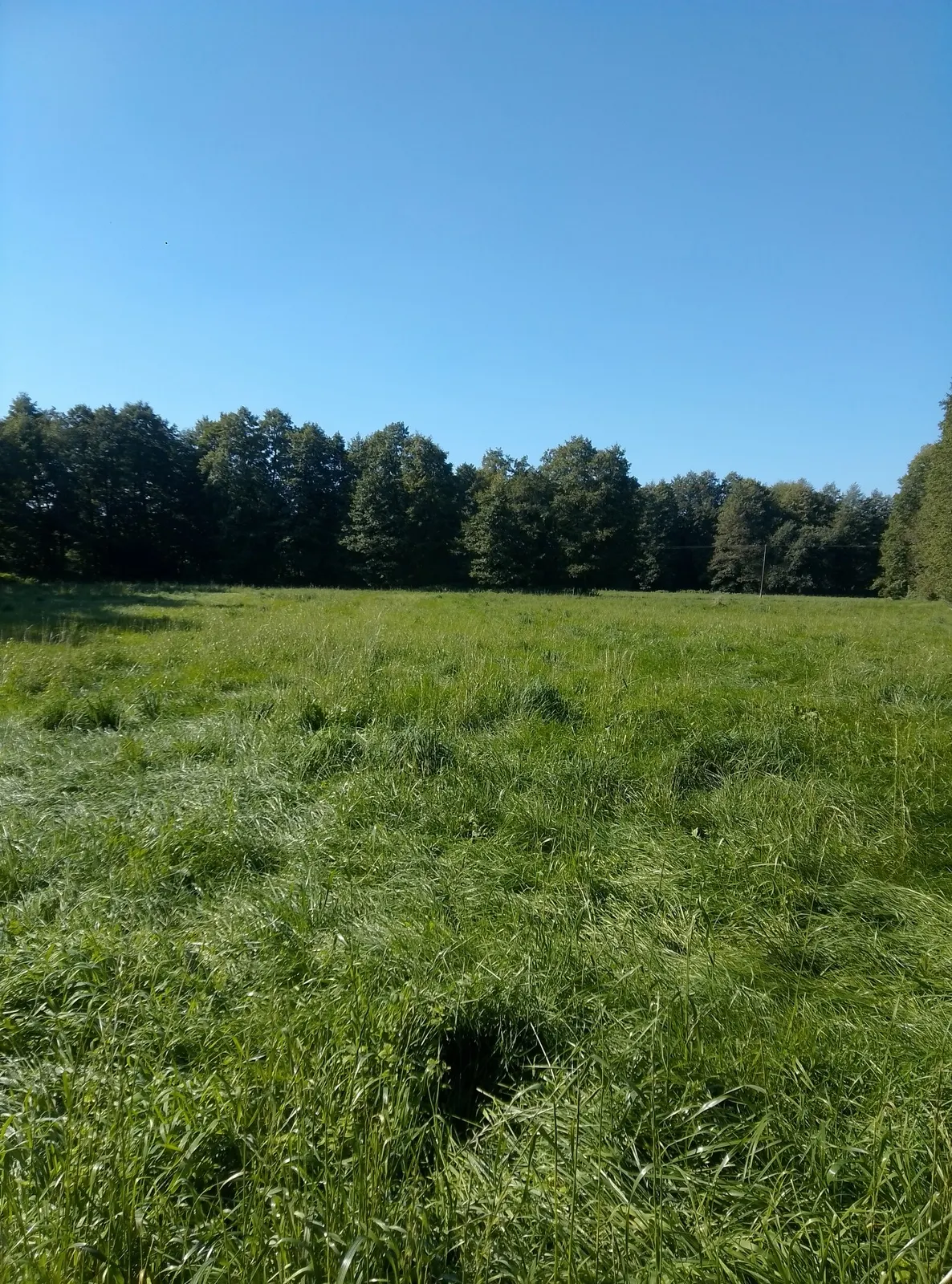 Działki pod dwa budynki mieszkalne. Zaciszne miejsce na twój dom!!!