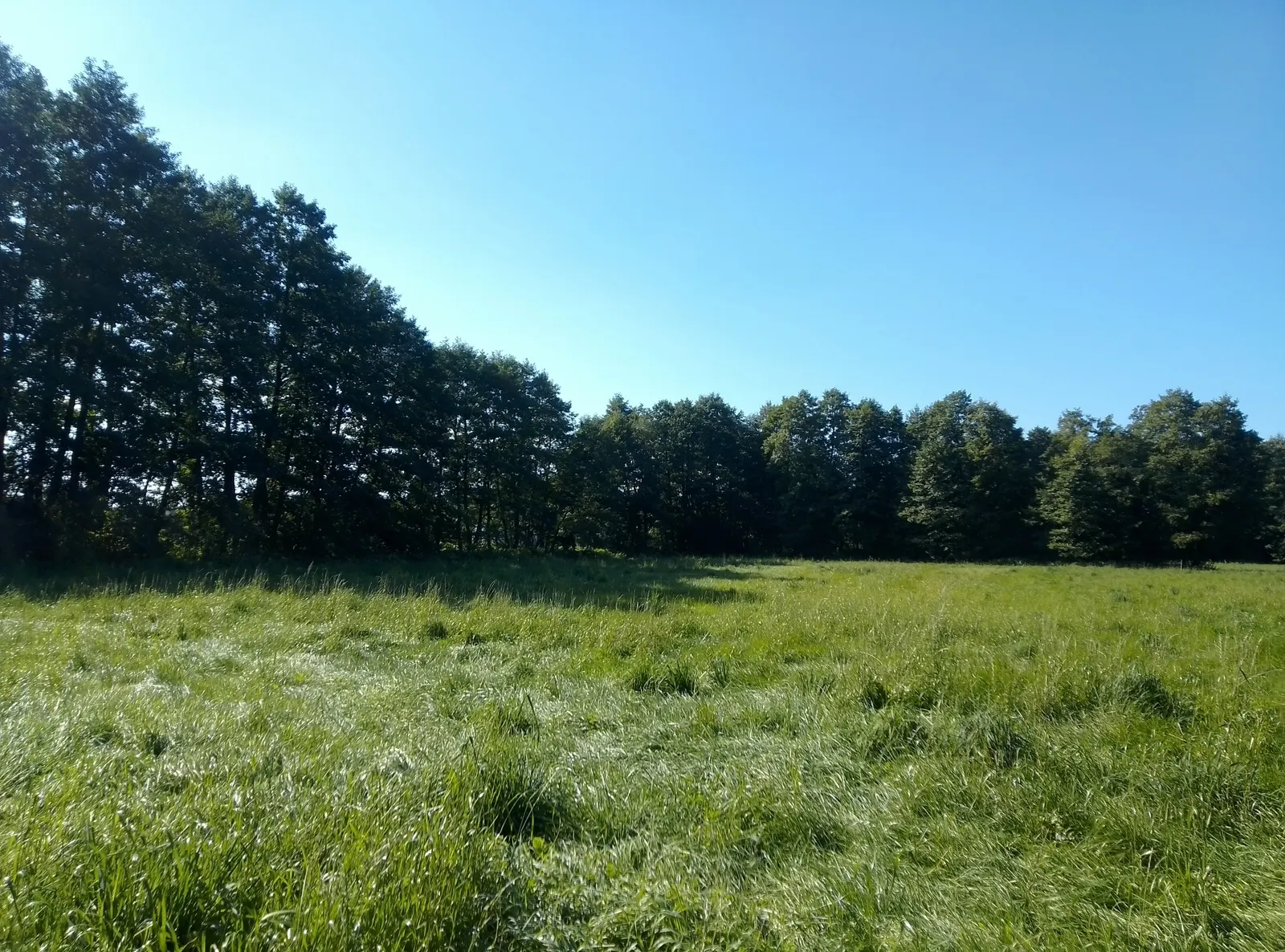 Działki pod dwa budynki mieszkalne. Zaciszne miejsce na twój dom!!!