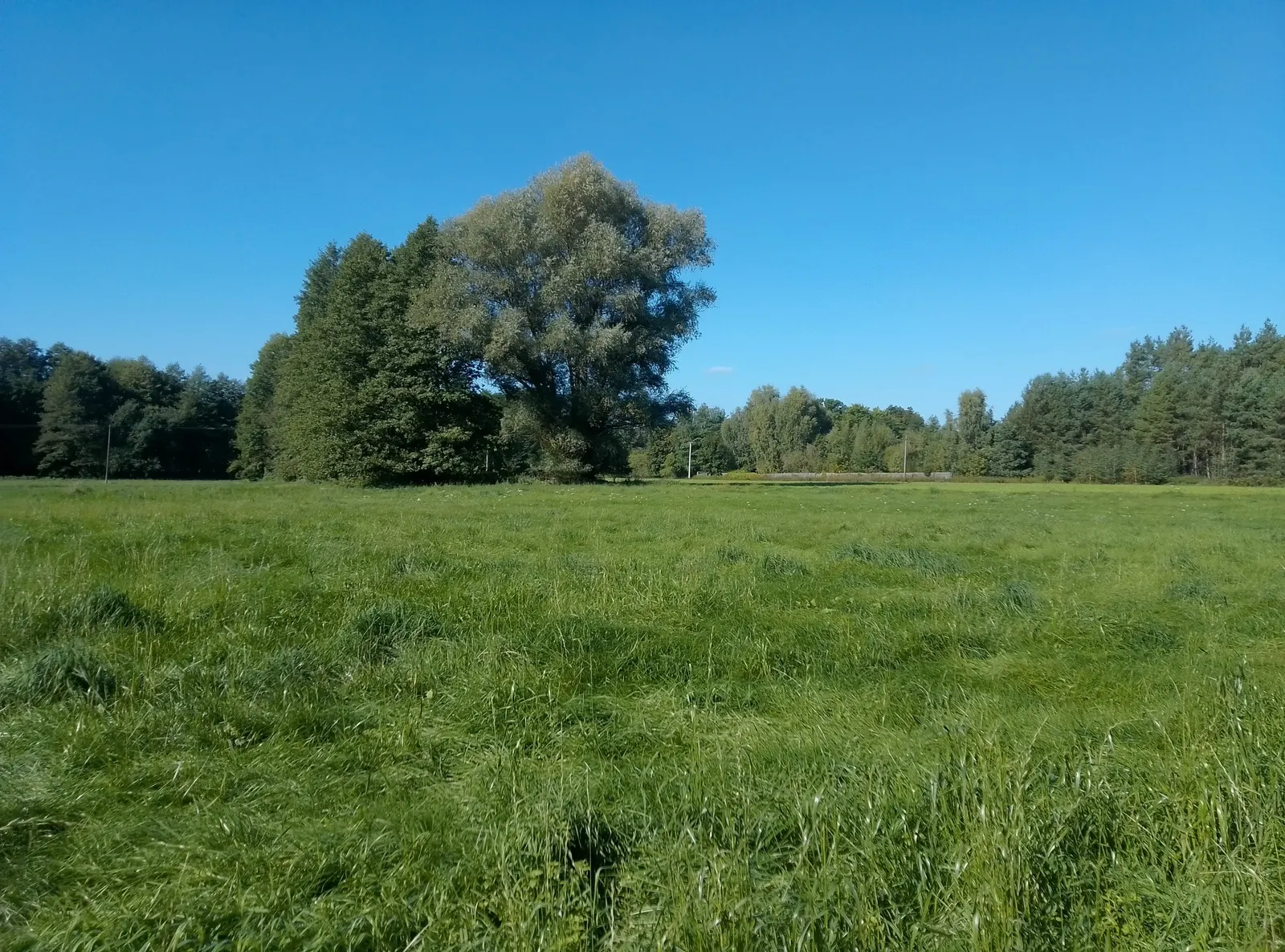Działki pod dwa budynki mieszkalne. Zaciszne miejsce na twój dom!!!
