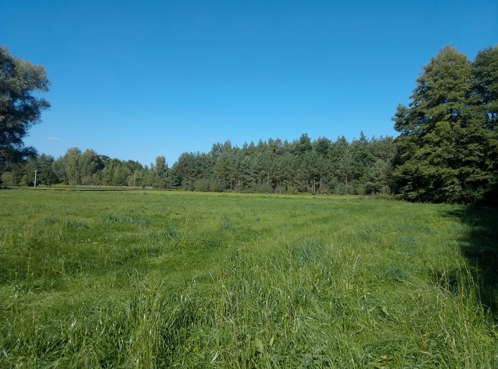Działki pod dwa budynki mieszkalne. Zaciszne miejsce na twój dom!!!