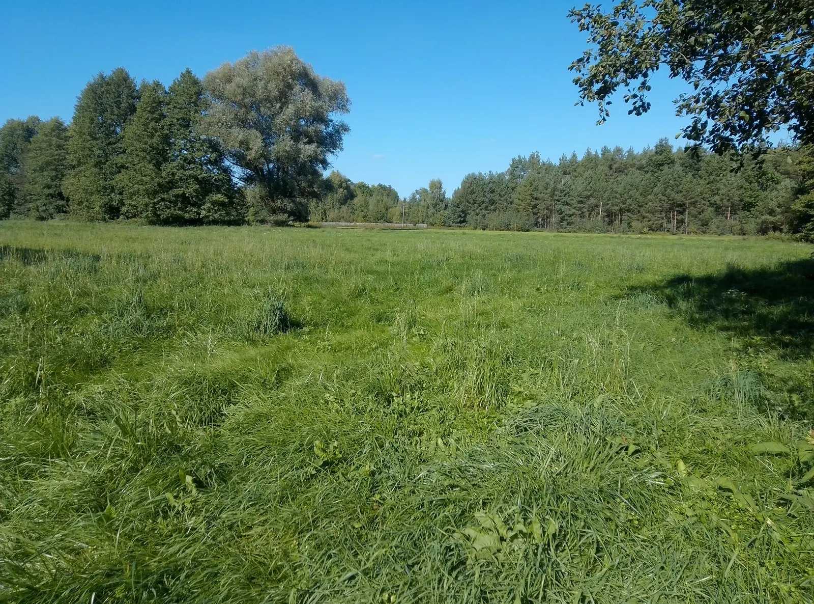 Działki pod dwa budynki mieszkalne. Zaciszne miejsce na twój dom!!!