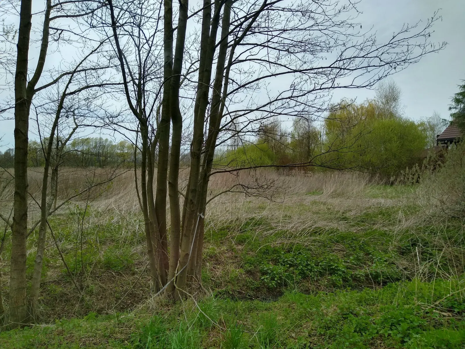 Działka pod budowę 2 budynków jednorodzinnych z mediami.