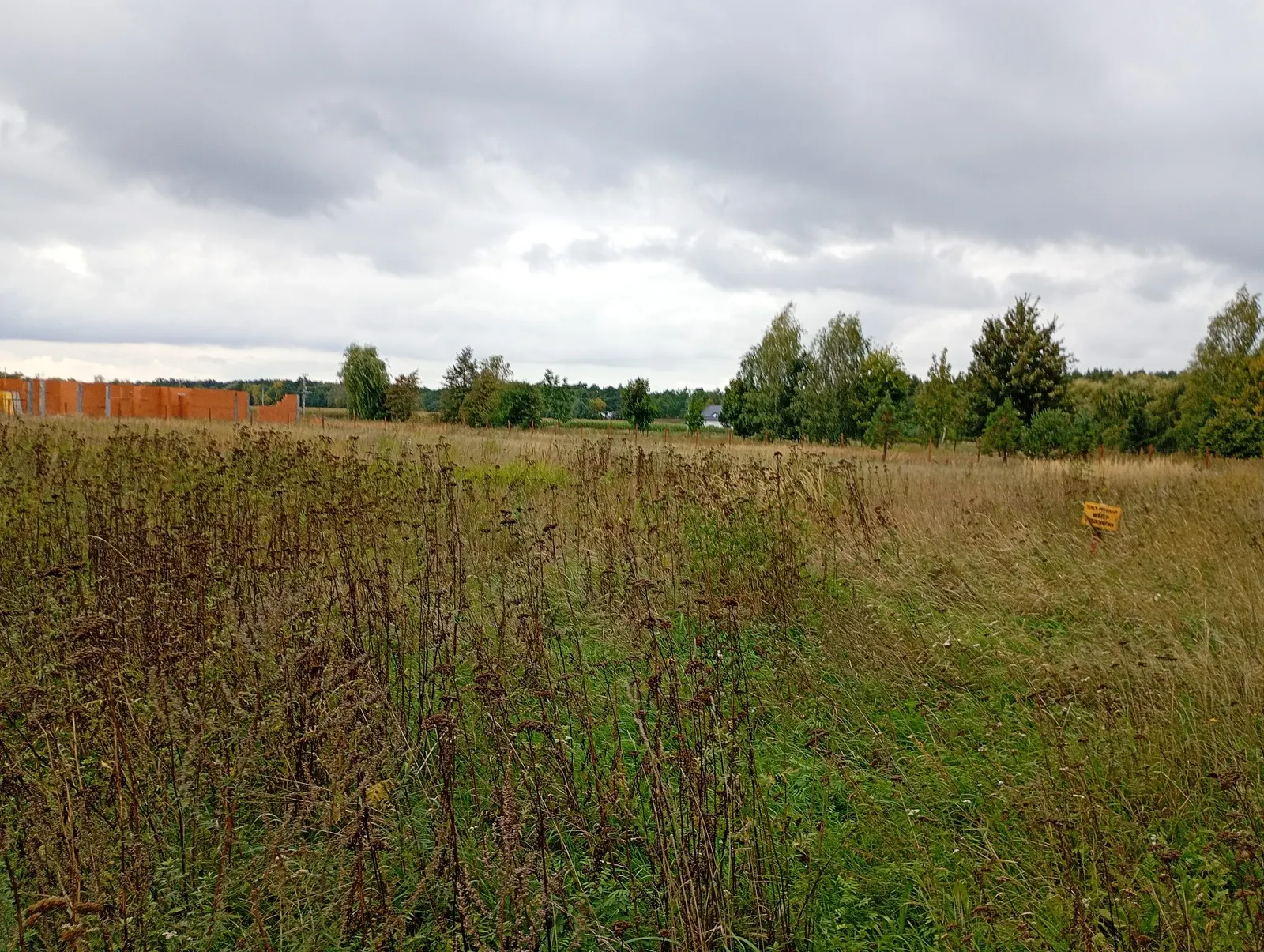 Duża działka z WZ, gotowa pod budowę, blisko szkoły w Górsku.