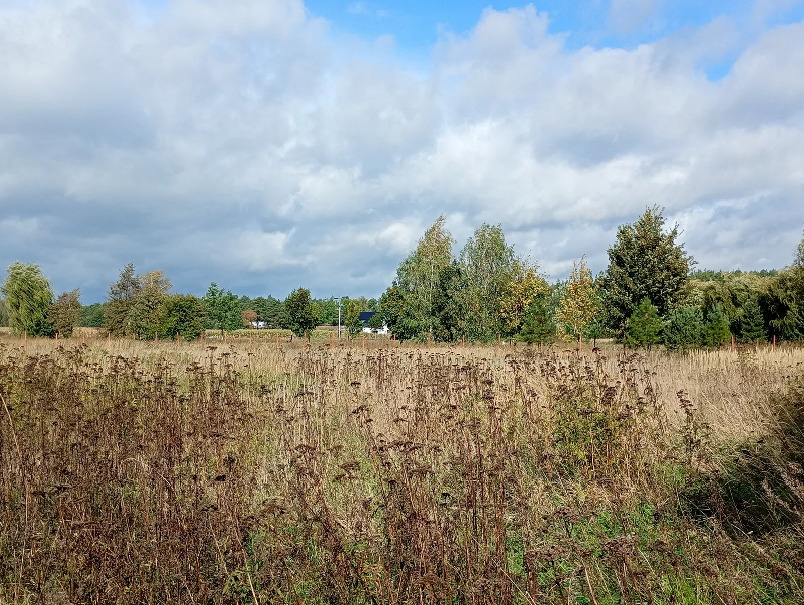 Duża działka z WZ, gotowa pod budowę, blisko szkoły w Górsku.
